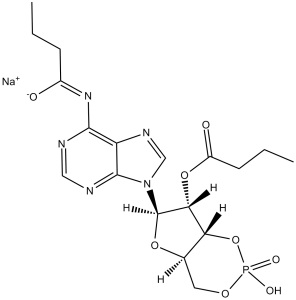 Dibutyryl-cAMP (Bucladesine sodium) 16980-89-5